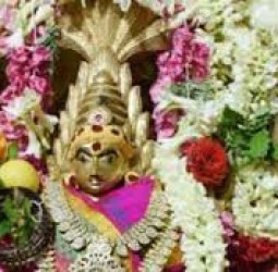 ஆடி கடைசி வெள்ளியையொட்டி உடுமலை பத்ரகாளியம்மன் கோயிலில் சிறப்பு பூஜை