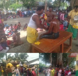 தாமனூர் பாலமுருகன் ஆலய ஆடி கிருத்திகை உற்சவ விழா