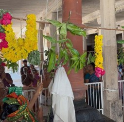 திருக்கோளூர் வைத்தமாநிதி பெருமாள் கோவிலில் ஆவணித் திருவிழா