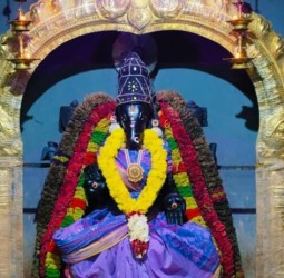 ஸ்ரீ தன ஆகர்ஷண வாராஹி அம்பாள் வண்ண மலர் மாலைகளால் இன்றைய அலங்காரத்தில் அருள் பாலிக்கும் காட்சி