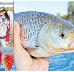 மீன் வளர்ப்போருக்கு மீன் குஞ்சுகள் மற்றும் மீன் தீவனங்கள் ஆகியவற்றினனை மானியத்தில் வழங்கிட விவசாயிகள் அரசுக்கு கோரிக்கை