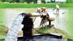 ஆட்கள் பற்றாக்குறைக்கு தீர்வு; உற்பத்தி மும்மடங்கு அதிகரிப்பு: நீலகிரி மாவட்ட விவசாயிகள் முதல்வருக்கு நெகிழ்ச்சியுடன் நன்றி