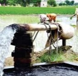 ஆட்கள் பற்றாக்குறைக்கு தீர்வு; உற்பத்தி மும்மடங்கு அதிகரிப்பு: நீலகிரி மாவட்ட விவசாயிகள் முதல்வருக்கு நெகிழ்ச்சியுடன் நன்றி