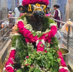 ஆவணி மாத தேய்பிறை பிரதோஷம்