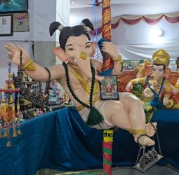 குரோம்பேட்டை ராதா நகரில் சுமார் 25 ஆயிரம் விநாயகர் சிலைகளை வைத்து சிறப்பு கண்காட்சி