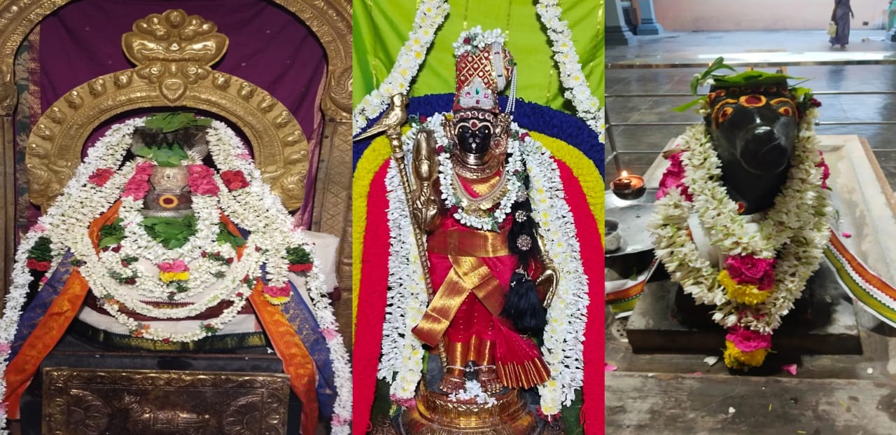 வந்தவாசி பகுதியில் பிரதோஷ வழிபாடு.