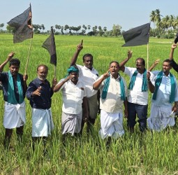 நாகை அருகே விவசாயிகள் நேற்று வயலில் கருப்புக் கொடி ஏந்தி போராட்டம்