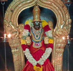 ஸ்ரீ வாசவி கன்யகா பரமேஸ்வரி அம்மன் சிகப்பு நிற சேலையில் வண்ண மலர் மாலையுடன் இன்றைய அலங்காரத்தில் அருள் பாலிக்கும் காட்சி