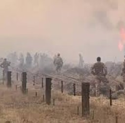 கென்யாவில் ராணுவ பயிற்சியின்போது தீ: பாதிக்கப்பட்டவர்களுக்கு ரூ.25 கோடி இழப்பீடு வழங்க இங்கிலாந்து ஒப்புதல்