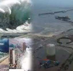 நிலநடுக்கத்திற்கு முன்பே கரை ஒதுங்கிய பெரிய திமிங்கலங்கள்; வீடியோ வைரல்: காரணம் என்ன?