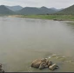 உச்ச நீதிமன்ற ஆணையின்படி ஆகஸ்ட் மாதத்துக்கான 46 டிஎம்சி காவிரி நீரை கர்நாடகா தர வேண்டும்