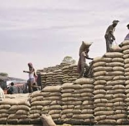 ரூ. 71 கோடி செலவில் 3 நவீன நெல் சேமிப்பு வளாகம், 2 நவீன கிடங்குகள் : ஸ்டாலின் திறந்தார் 118 பேருக்கு பணி நியமன ஆணை