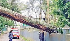 மழை பாதிப்பு: மின்சாரம் துண்டிப்பால் இருளில் மூழ்கிய ஊட்டி நகரம்