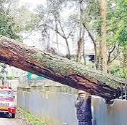 மழை பாதிப்பு: மின்சாரம் துண்டிப்பால் இருளில் மூழ்கிய ஊட்டி நகரம்