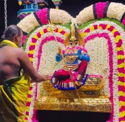 மாம்பட்டு ஸ்ரீ முத்து மாரியம்மனுக்கு சிறப்பு பூஜைகள் .