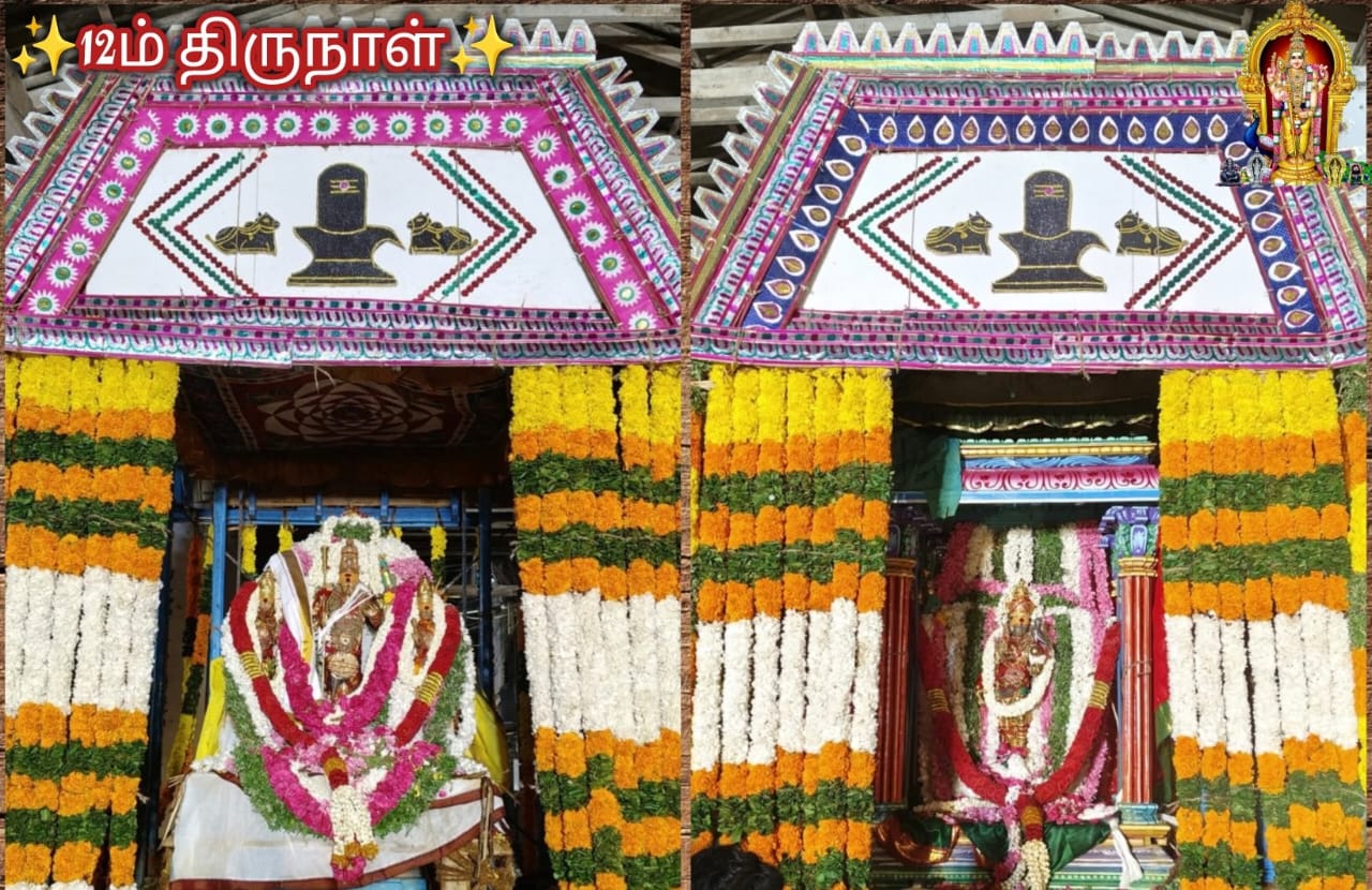 ஸ்ரீவள்ளி அம்பாள் மலர் கேடயச் சப்பரத்தில் எழுந்தருளி வீதியுலா