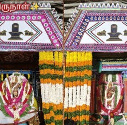 ஸ்ரீவள்ளி அம்பாள் மலர் கேடயச் சப்பரத்தில் எழுந்தருளி வீதியுலா