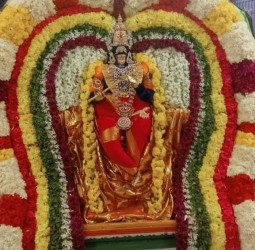 ஸ்ரீ கரியமாணிக்க பெருமாள் கோவிலில் உறியடி வைபவம்