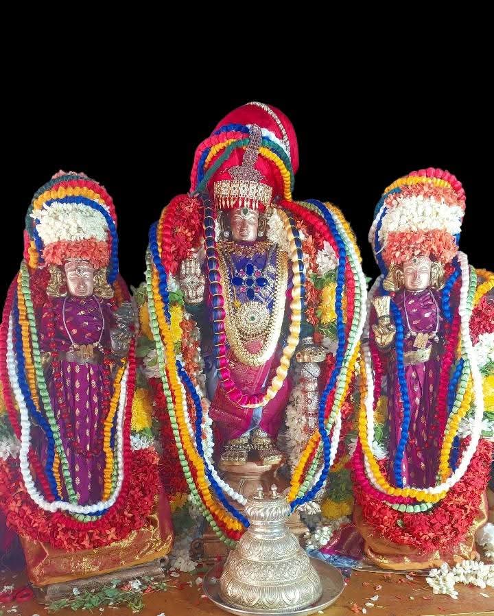 ஸ்ரீ ஸ்தலசயனப்பெருமாள் திருபவித்ரோற்சவம்