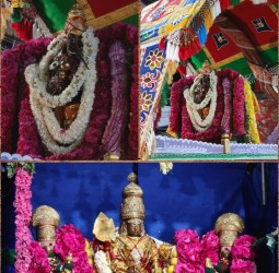 திருச்செந்தூர் முருகன் கோவிலில் ஆவணித்திருவிழா