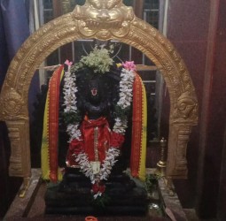 சக்கரத்தாழ்வாருக்கு  சிறப்பு திருமஞ்சனம்