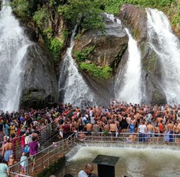 குற்றாலம் ஐந்தருவியில் நேற்று தண்ணீர் ஆர்ப்பரித்து கொட்டியது