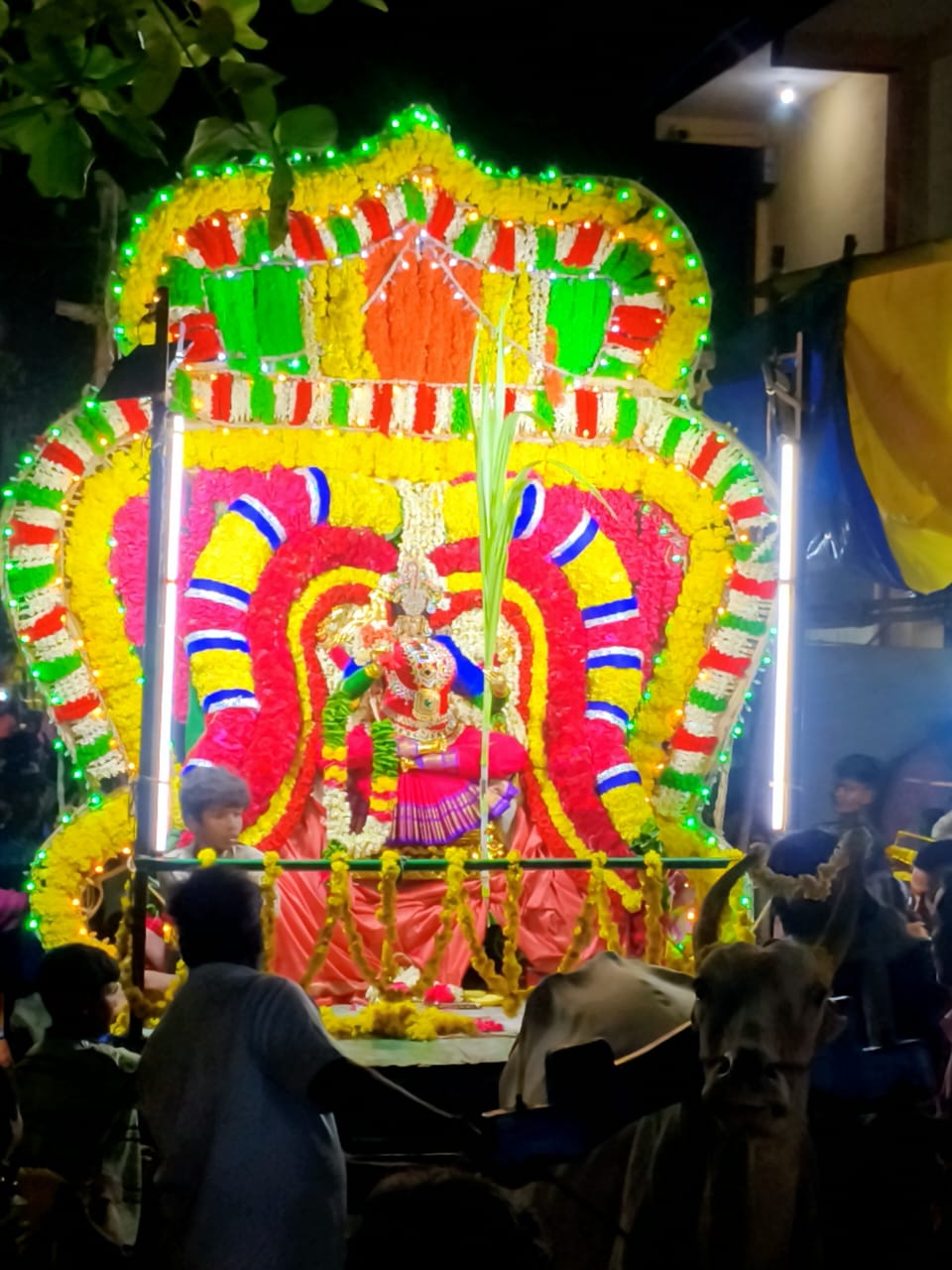வாழைப்பந்தல் பச்சையம்மன் வீதி உலா