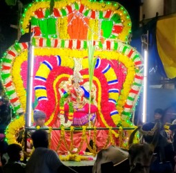 வாழைப்பந்தல் பச்சையம்மன் வீதி உலா