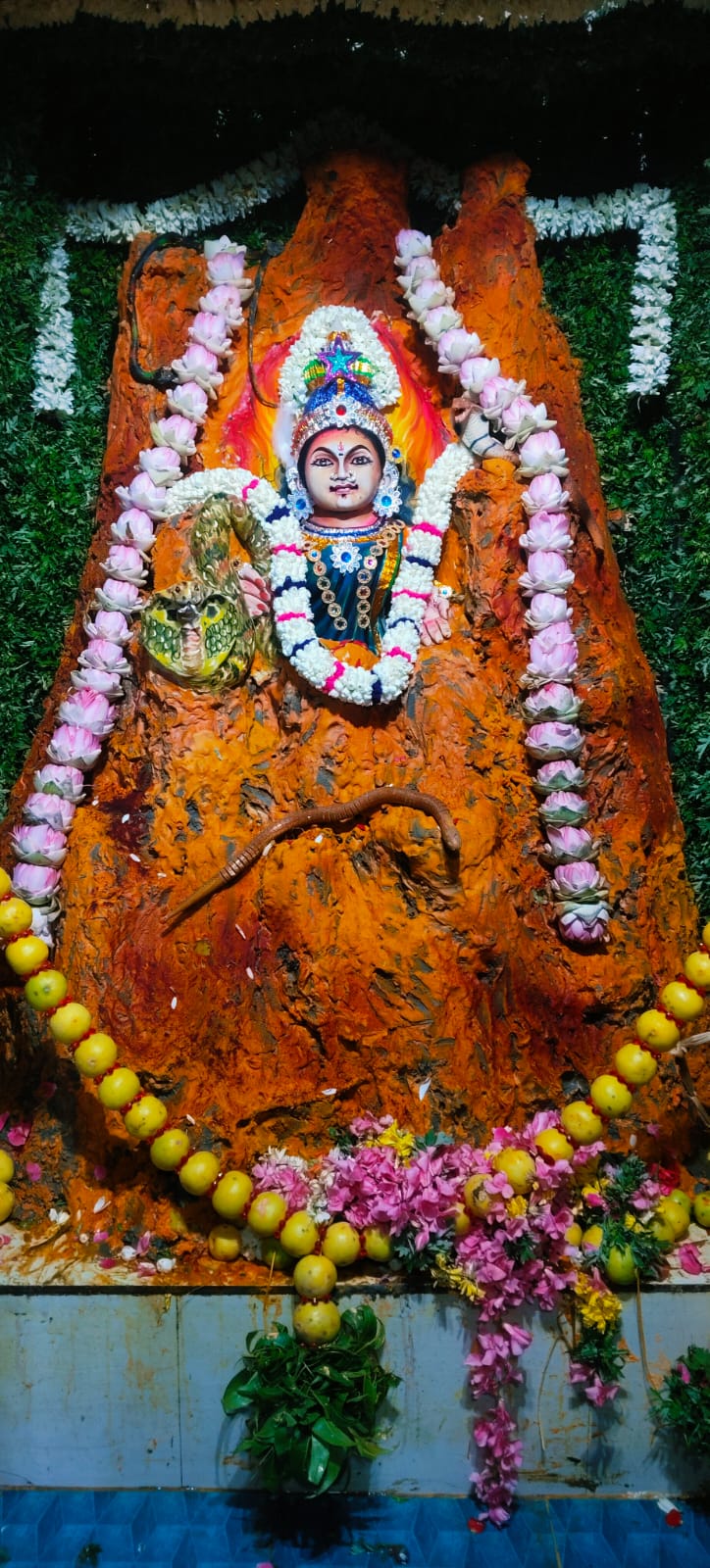 ஆடித்தபசு காட்சியில் ஸ்ரீநாகேஸ்வரி அம்மன் பக்தர்களுக்கு அருள்பாலித்தார்