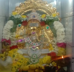 காட்பாடி ஸ்ரீ வரசித்தி விநாயகர் கோவிலில் மஹா சங்கடஹர சதுர்த்தி விழா!