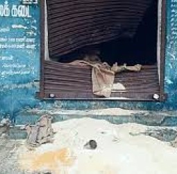 கோவையில் ரேஷன் கடையை அடித்து நொறுக்கிய காட்டு யானை!