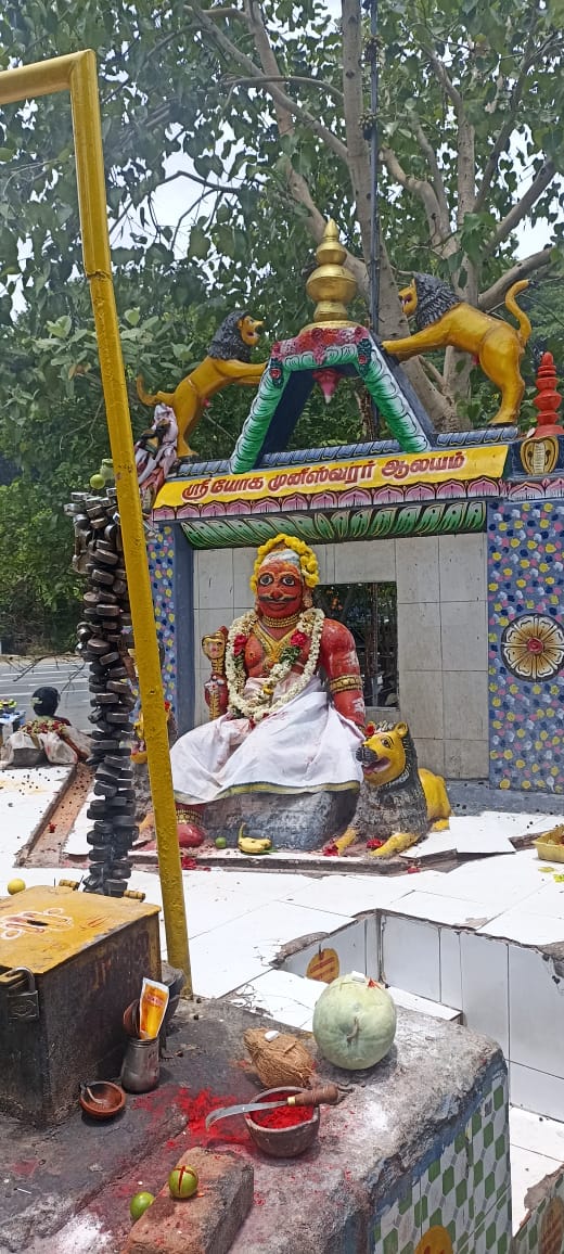 ஸ்ரீ யோக முனீஸ்வரர் அபிஷேகம், அலங்காரத்துடன் அருள் பாலிக்கும் காட்சி