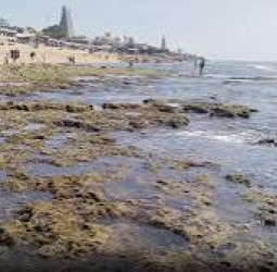 திருச்செந்தூரில் 3 வது நாளாக உள் வாங்கிய கடல்!