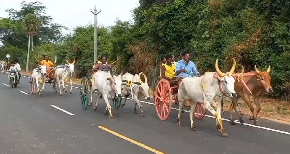கீழச்சீவல்பட்டி அருகே விராமதியில் ஆடித்திருவிழாவை முன்னிட்டு இரட்டை மாட்டு வண்டி பந்தயம்