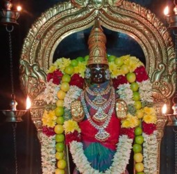 ஸ்ரீ வாசவி கன்யகா பரமேஸ்வரி அம்மன் இன்றைய அலங்காரத்தில் அருள்பாலிக்கும் காட்சி