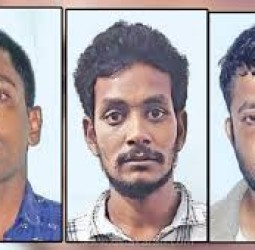 வலங்கைமானில் திருட்டு:  3 பேர் கைது