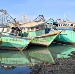 இலங்கை துறைமுகத்தில் உள்ள தமிழக மீனவர்களின் படகுகளை ஏலமிட நடவடிக்கை