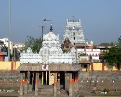 திருவல்லிக்கேணி பார்த்தசாரதி கோவிலில் சமத்துவ விருந்து: உதயநிதி பங்கேற்பு