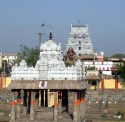 திருவல்லிக்கேணி பார்த்தசாரதி கோவிலில் சமத்துவ விருந்து: உதயநிதி பங்கேற்பு