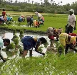 டிச.23 பட்டுக்கோட்டையில் விவசாயிகள் குறைதீர் கூட்டம்