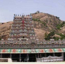 திருப்பரங்குன்றம் மலைக்கோவிலுக்கு செல்ல கட்டுப்பாடுகளுடன் பக்தர்களுக்கு அனுமதி