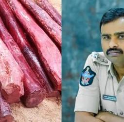 இந்த ஆண்டில் 35,476 கிலோ செம்மரம் பறிமுதல்: கடத்தல்காரர்களின் சொத்து ஜப்தி செய்யப்படும் - திருப்பதி மாவட்ட எஸ்.பி. சுப்புராயுடு எச்சரிக்கை