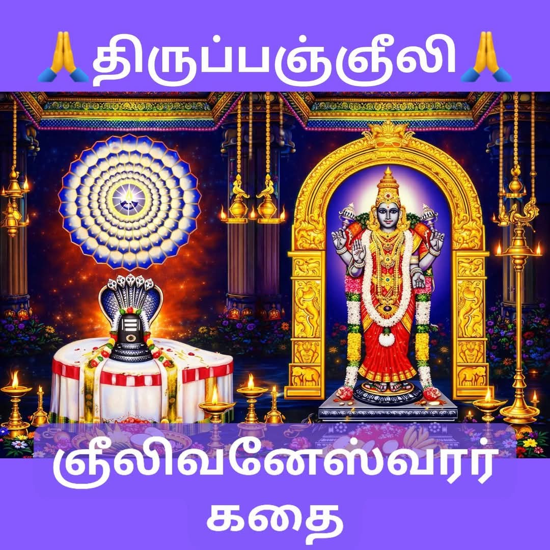 திருப்பஞ்ஞீலி (திருப்பைஞ்ஞீலி), அருள்மிகு விசாலாட்சி அம்மன் உடனுறை ஞீலிவனேஸ்வரர் திருக்கோயில்