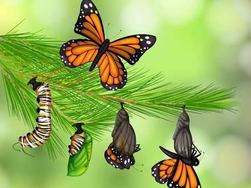 பழகப் பழகப் பணிவு வரும்