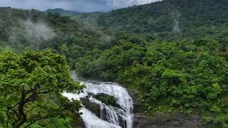 வனவிலங்குகள் நடமாட்டத்தை கண்டறிய நாட்டில் முதன்முறையாக நீலகிரி மாவட்டம் கூடலூரில் புதிய தொழில்நுட்பம் அறிமுகம்