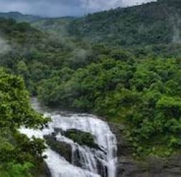 வனவிலங்குகள் நடமாட்டத்தை கண்டறிய நாட்டில் முதன்முறையாக நீலகிரி மாவட்டம் கூடலூரில் புதிய தொழில்நுட்பம் அறிமுகம்