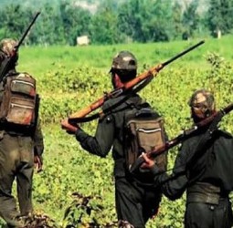 தெலுங்கானாவில் 41 மாவோயிஸ்டுகள் போலீசில் சரண்