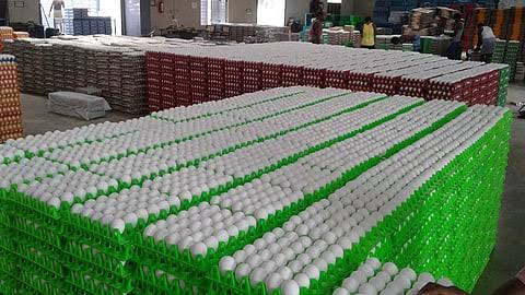 வரலாற்றில் மிக அதிகமாக நாமக்கல்லில் முட்டை விலை 625 பைசாவாக உயர்வு!