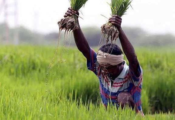 விவசாயிகள் (உழவர்) நலம் காப்போம்