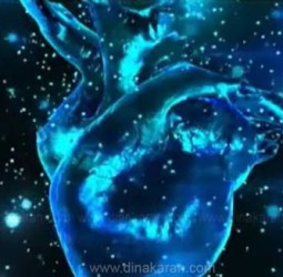 கொரோனாவுக்குப் பின் இதய நாள தளர்ச்சியால் பாதிப்போர் அதிகரிப்பு அரசு மருத்துவர்கள் நடத்திய ஆய்வில் தகவல்